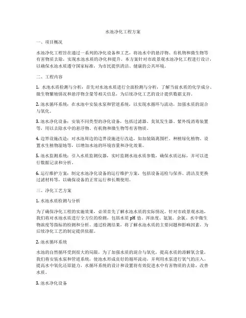 水池净化工程方案