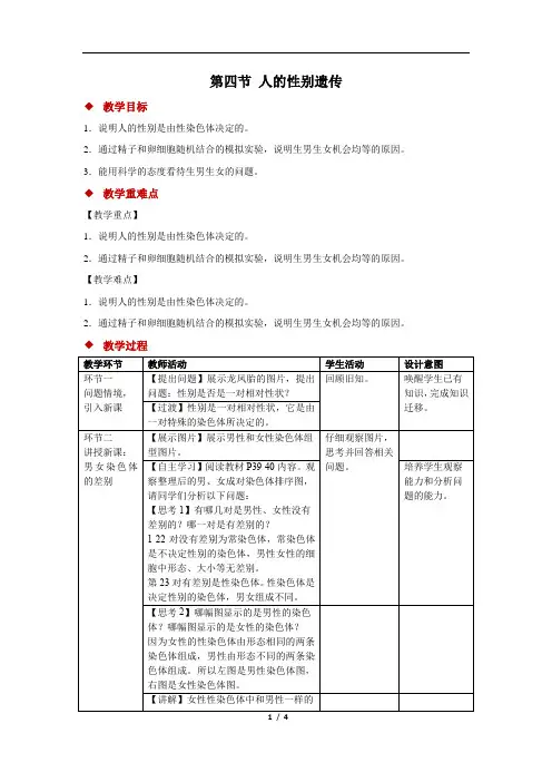 第四节 人的性别遗传 教案-人教版八年级生物下册第七单元