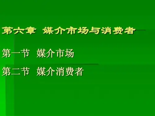 6.第六章媒介市场与消费者
