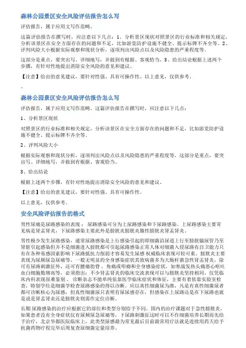 景区安全风险评估报告范文