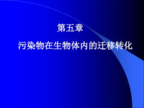污染物在生物体内的迁移转