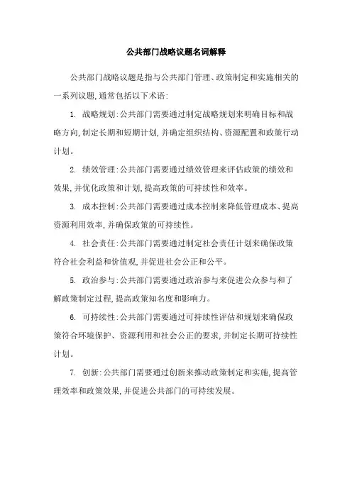 公共部门战略议题名词解释