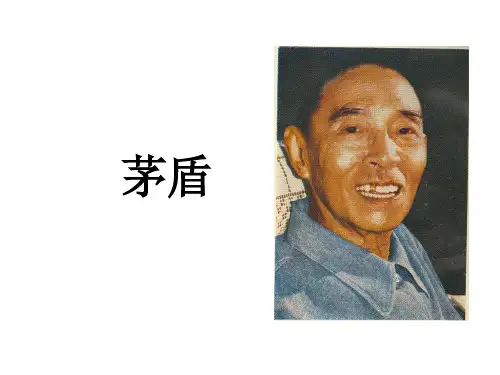 《中国现代文学史》茅盾课件