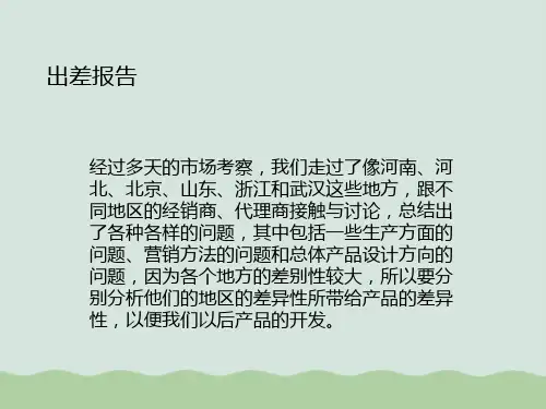 出差报告(PPT 29页)