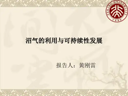 沼气的利用与可持续发展