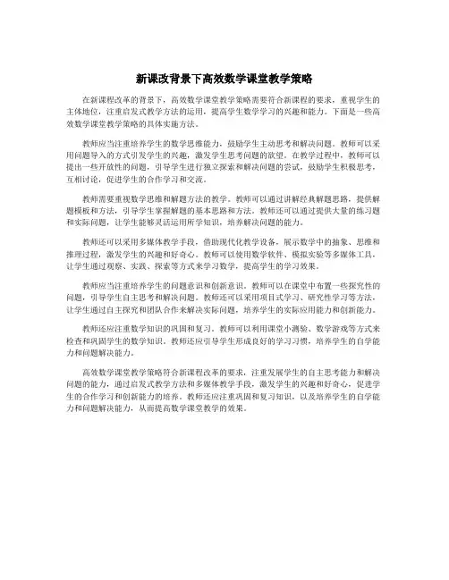 新课改背景下高效数学课堂教学策略