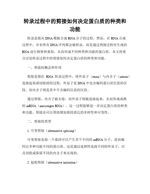 转录过程中的剪接如何决定蛋白质的种类和功能