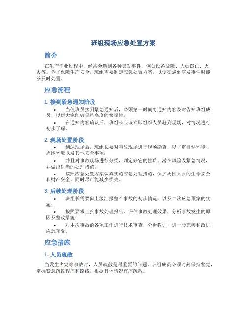 班组现场应急处置方案