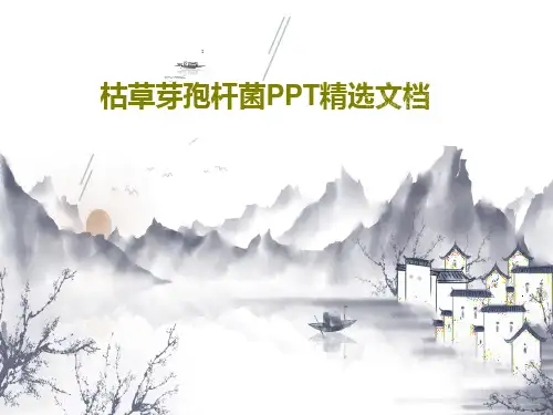 枯草芽孢杆菌PPT精选文档PPT文档共36页