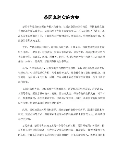 茶园套种实施方案
