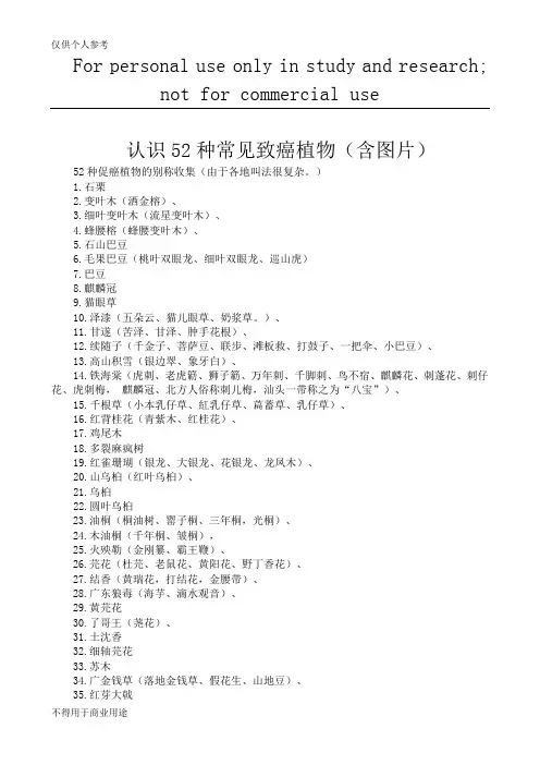 认识52种常见致癌植物(含图片)