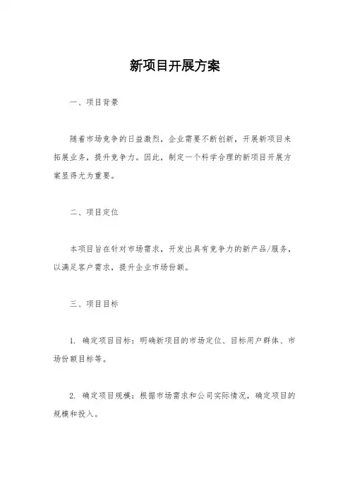 新项目开展方案