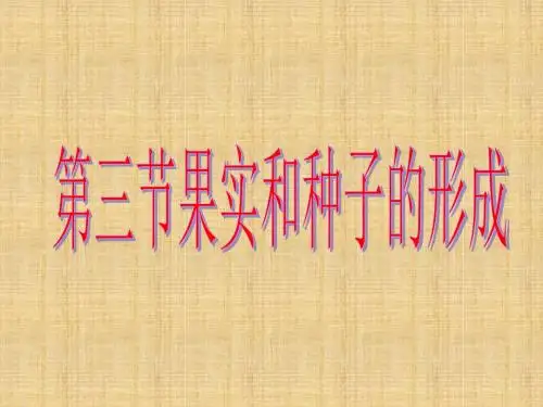 果实和种子的形成 课件课件