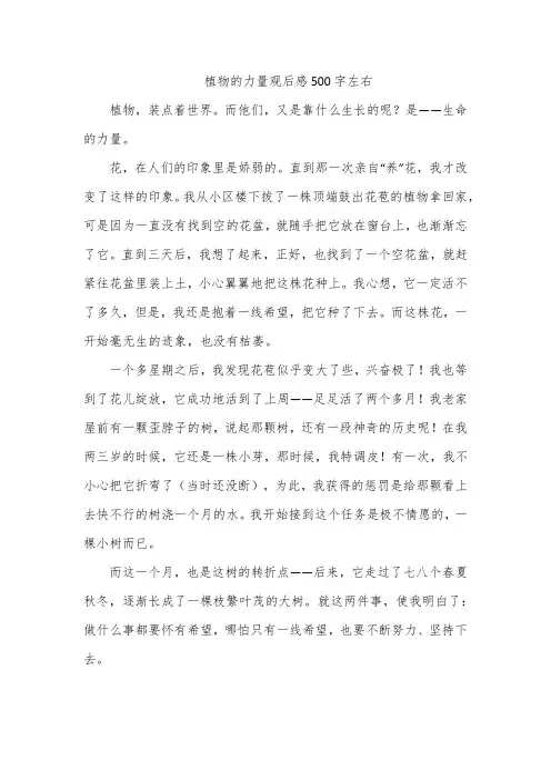 植物的力量观后感500字左右