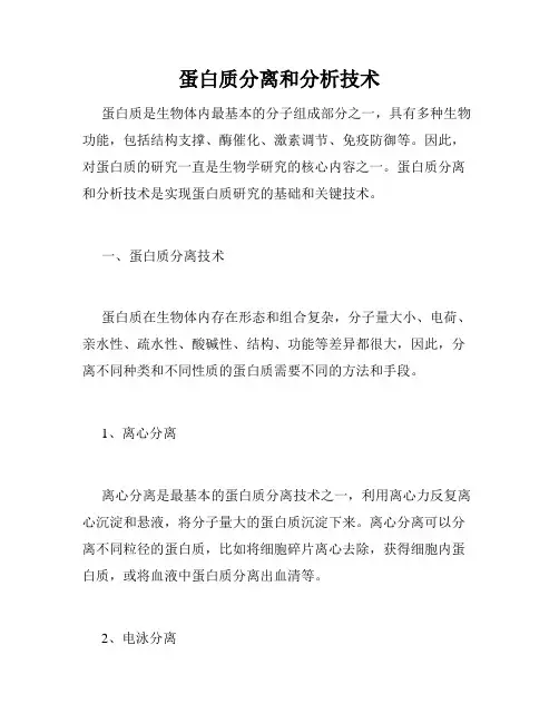 蛋白质分离和分析技术
