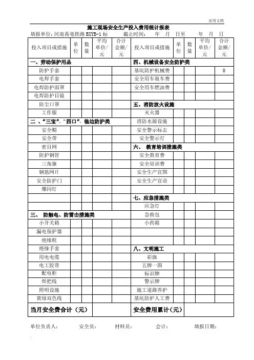 安全生产投入费用统计报表