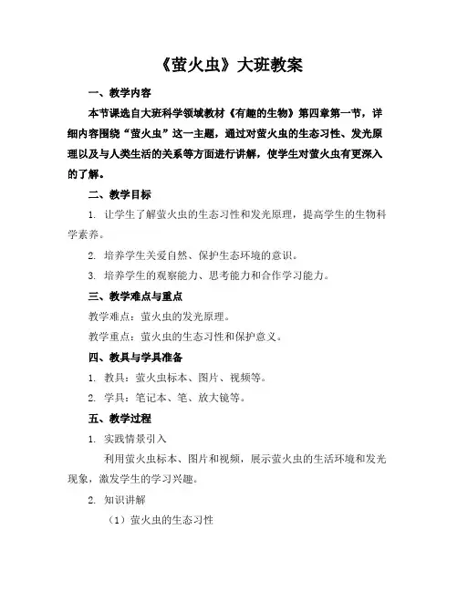 《萤火虫》大班教案