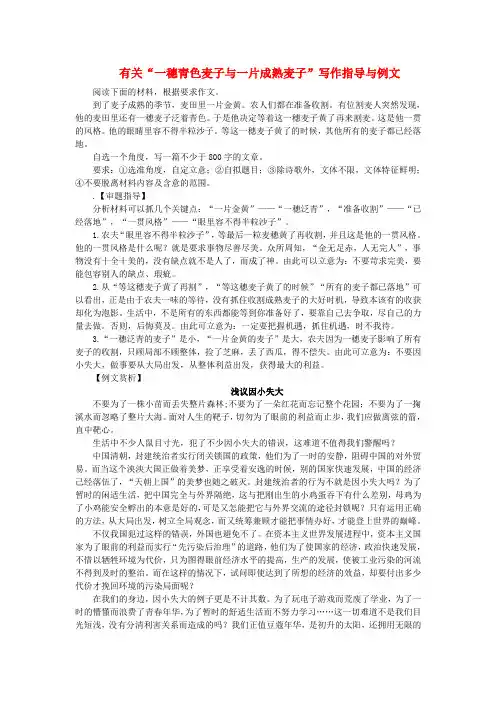 2020年高考语文 有关一穗青色麦子与一片成熟麦子写作指导与例文