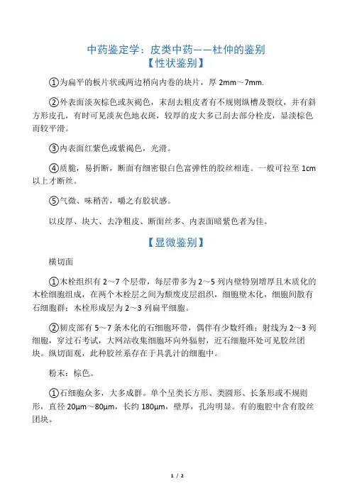 中药鉴定学：皮类中药――杜仲的鉴别