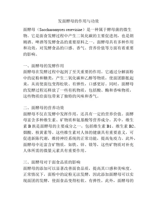发面酵母的作用与功效