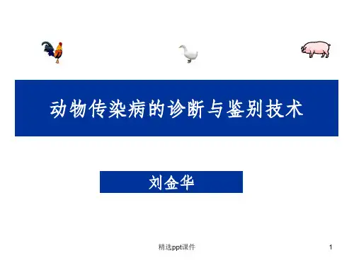 动物传染病的诊断技术ppt课件