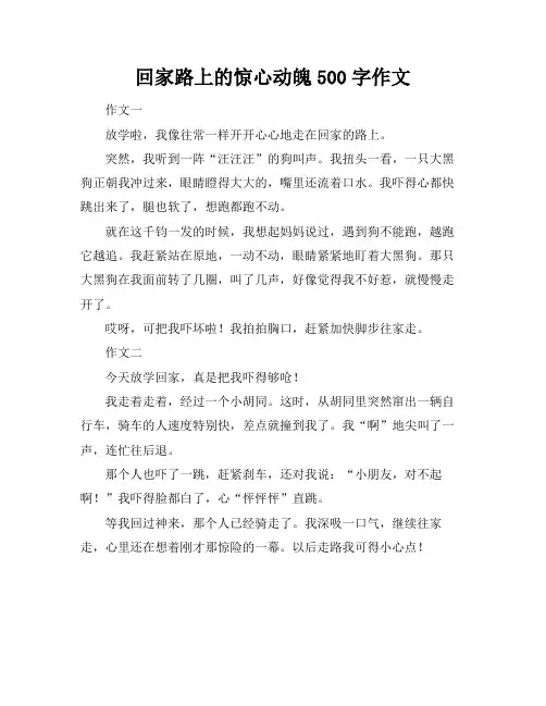 回家路上的惊心动魄500字作文