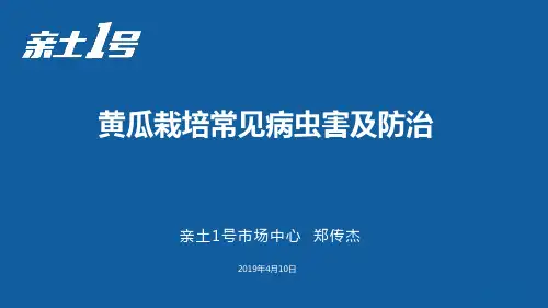 黄瓜常见病虫害及防治