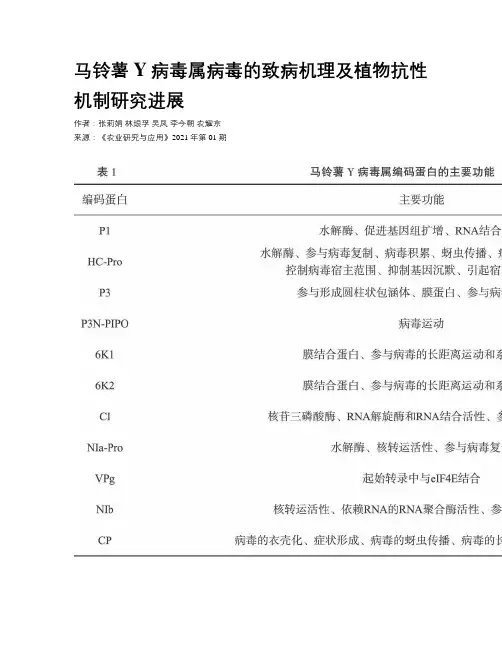 马铃薯Y病毒属病毒的致病机理及植物抗性机制研究进展