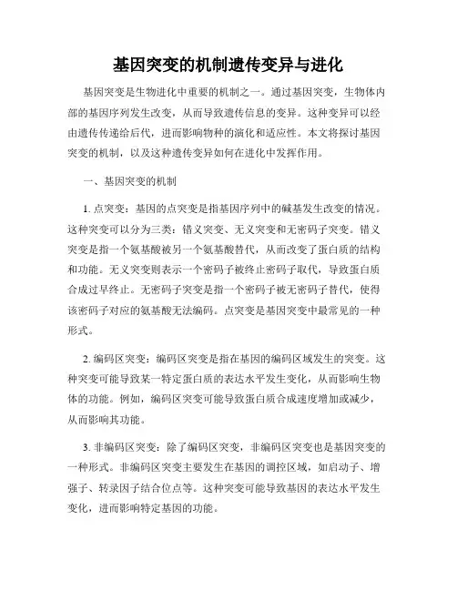 基因突变的机制遗传变异与进化