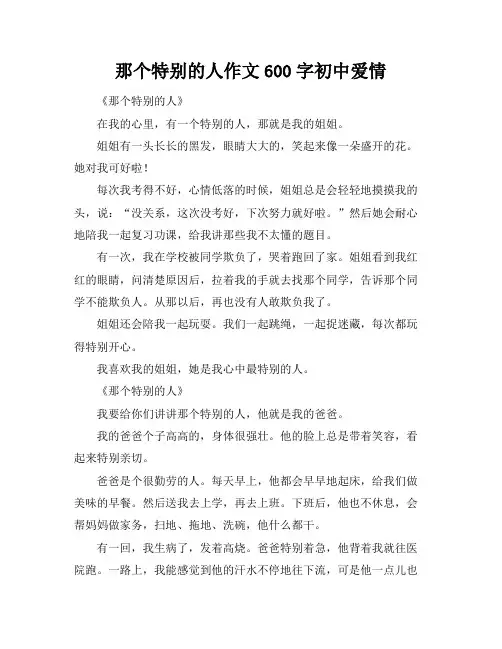 那个特别的人作文600字初中爱情
