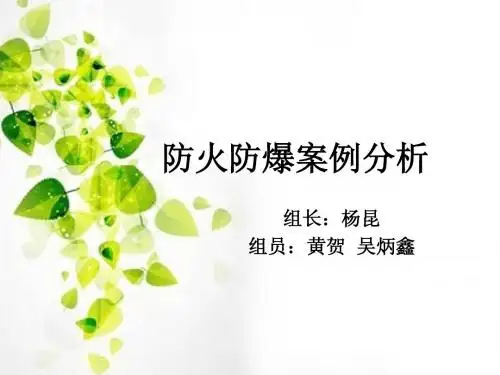 防火防爆案例分析   化工