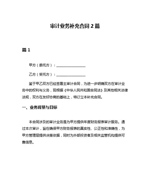 审计业务补充合同2篇