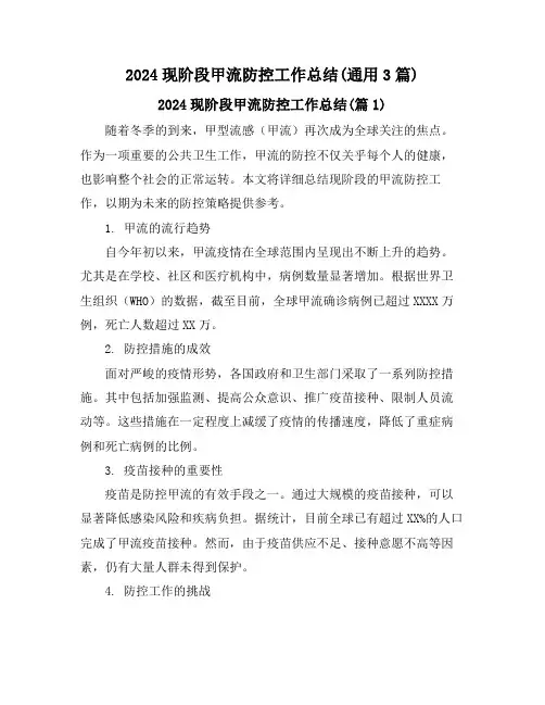 2024现阶段甲流防控工作总结(通用3篇)