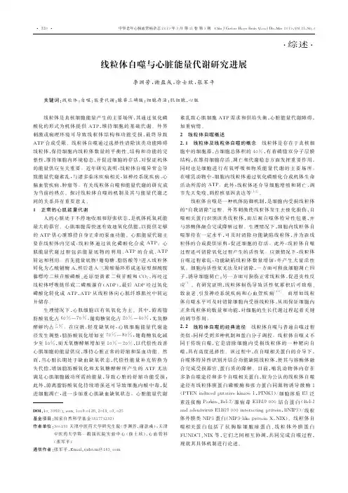 线粒体自噬与心脏能量代谢研究进展