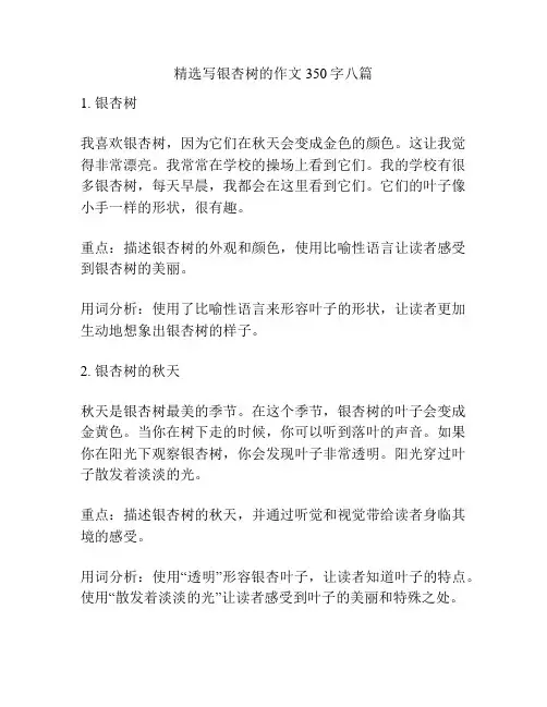 精选写银杏树的作文350字八篇