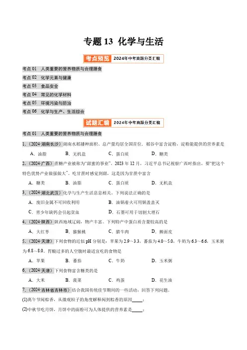 专题13 化学与生活 2024年中考化学真题分类汇编