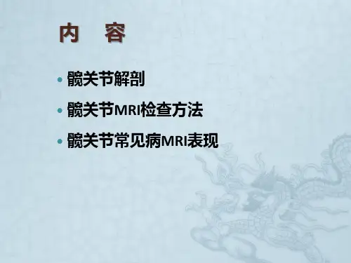 髋关节MRI【74页】