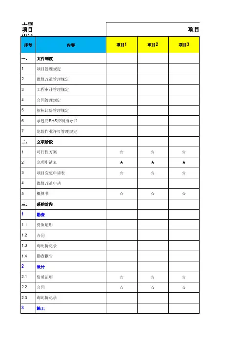 工程项目审计表格