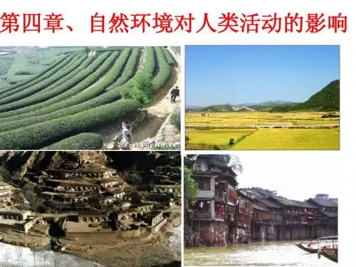 4.1.1地形对聚落的影响