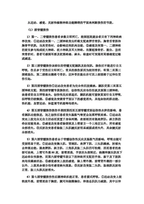 脊髓损伤平面