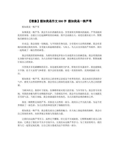 【想象】假如我是作文500字 假如我是一株芦苇