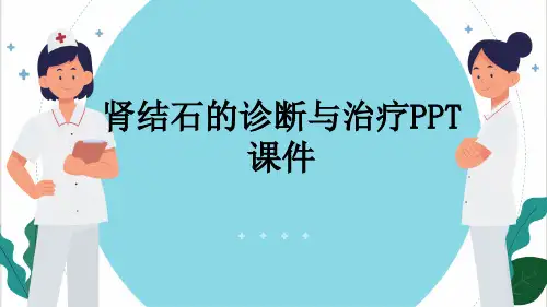 肾结石的诊断与治疗PPT课件