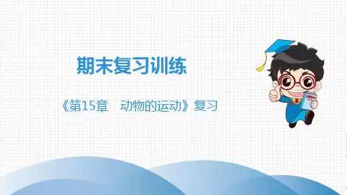 北师大版八年级生物上册总复习课件《第15章动物的运动》复习
