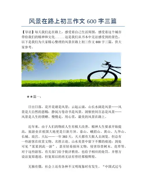 风景在路上初三作文600字三篇