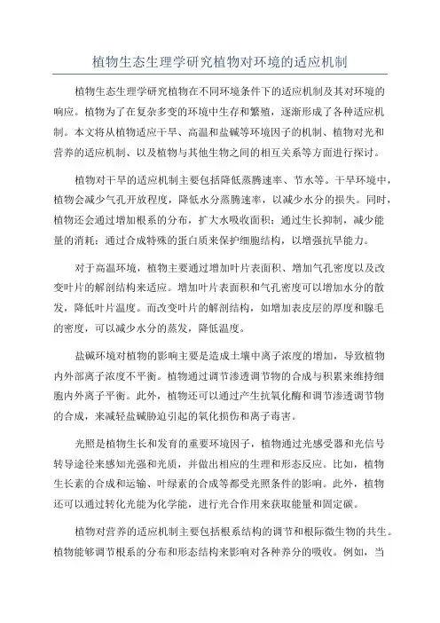 植物生态生理学研究植物对环境的适应机制