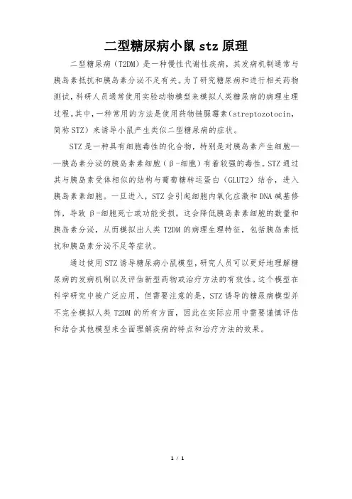 二型糖尿病小鼠stz原理