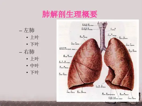 全肺切除术护理查房PowerPoint演示文稿