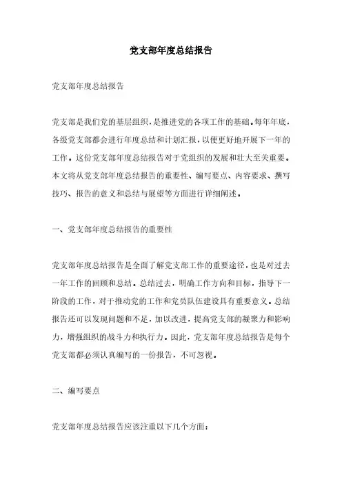党支部年度总结报告