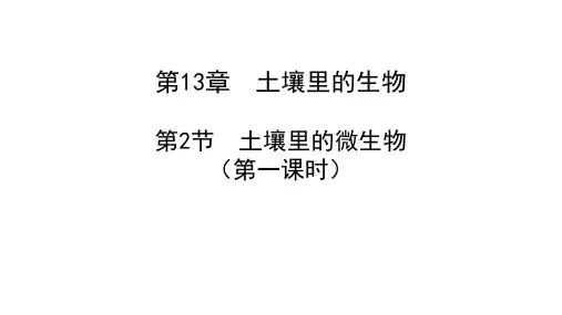 13-2-1 土壤里的微生物(第1课时)-2022-2023学年七年级生物下册同步精品课堂(苏科版)