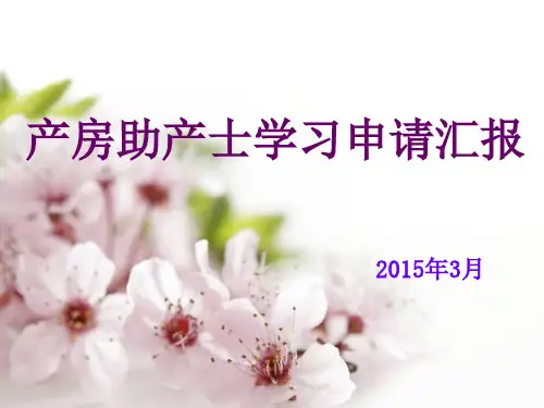 产房进修汇报.PPT